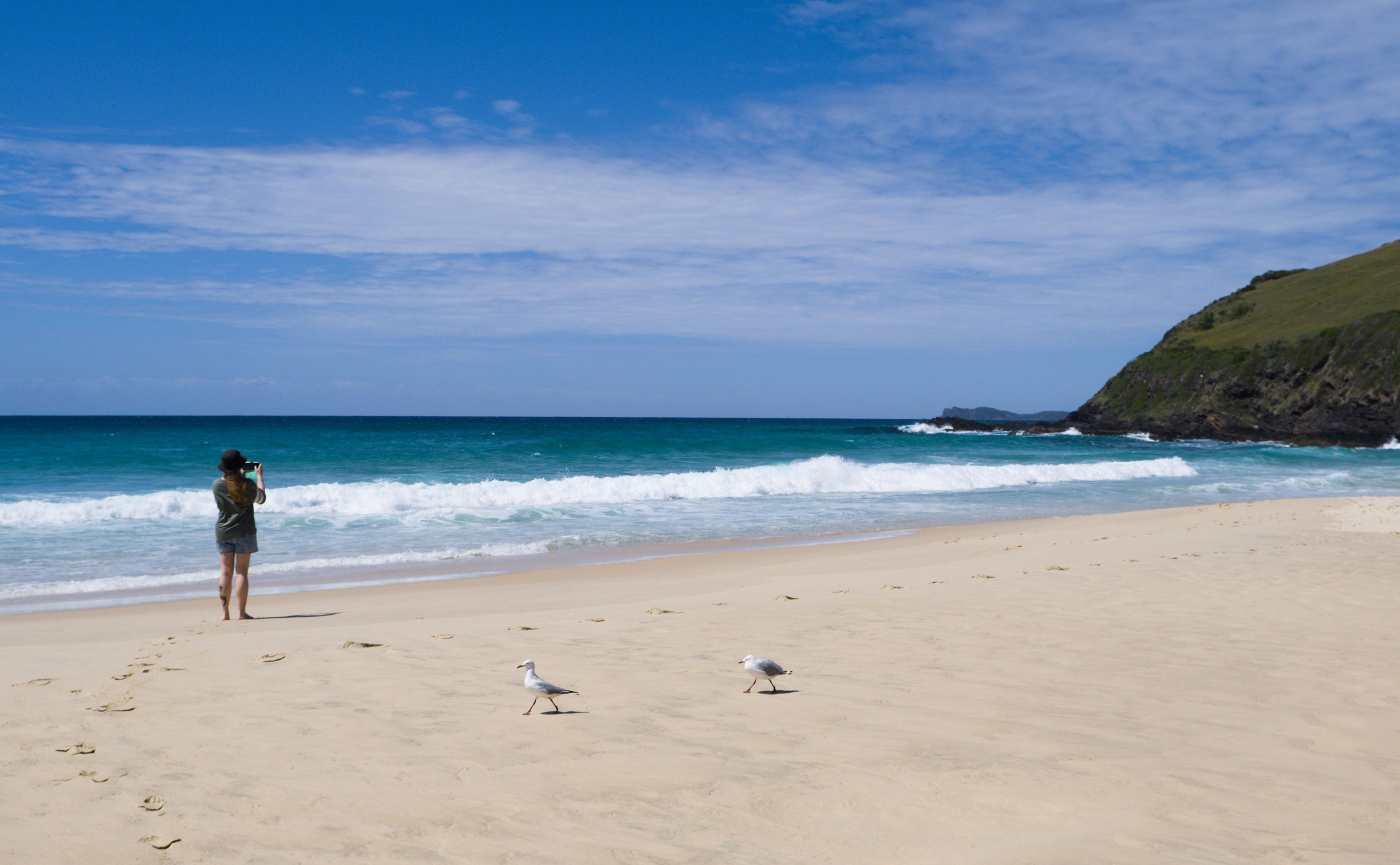 Barrington Coast beach scene